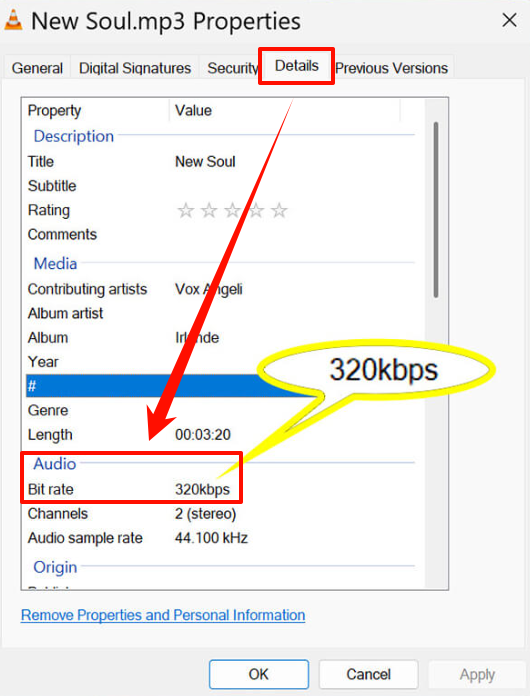 check-spotify-to-mp3-320kbps-bitrate-in-mac-finder