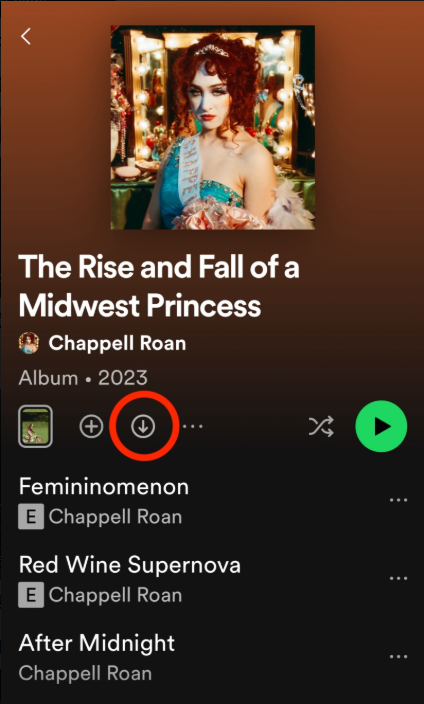 download-spotify-music-for-offline-listening-on-ipod-touch