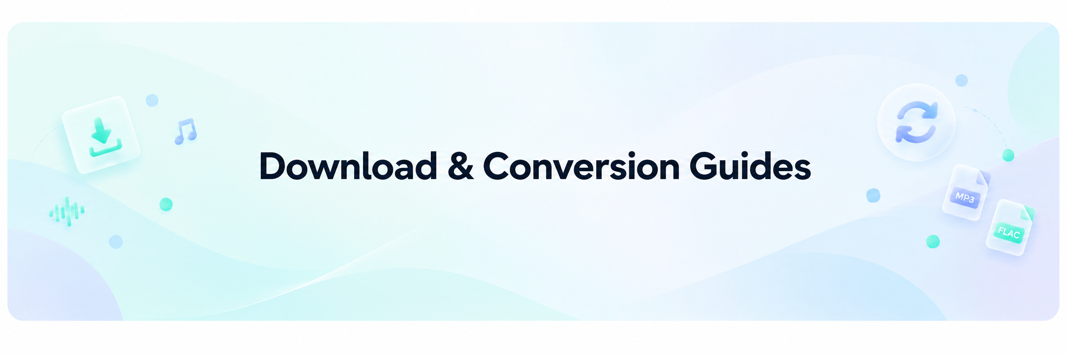Download & Conversion Guides